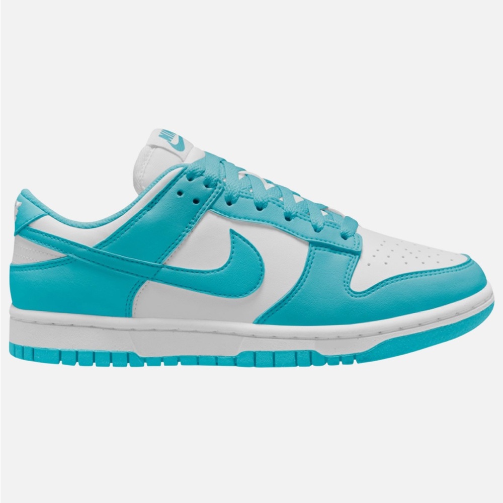 Nike Aqua and White Low-Top Sneakers